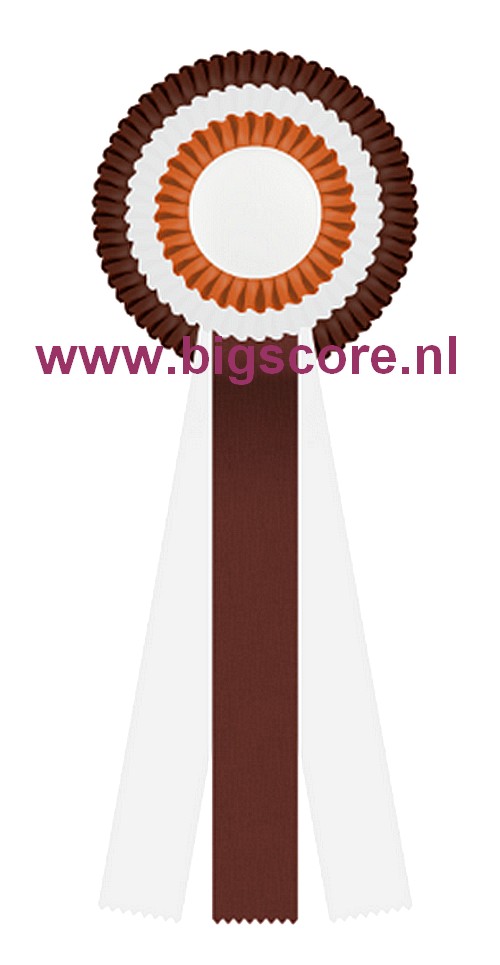 R 03 multi 3-Ringsrozet Ø 13 L: 31 cm Blanco met optie Full-Colour 50 mm afslag